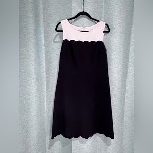 Ann Taylor Loft Black/cream Scallop Hem Dress size 8